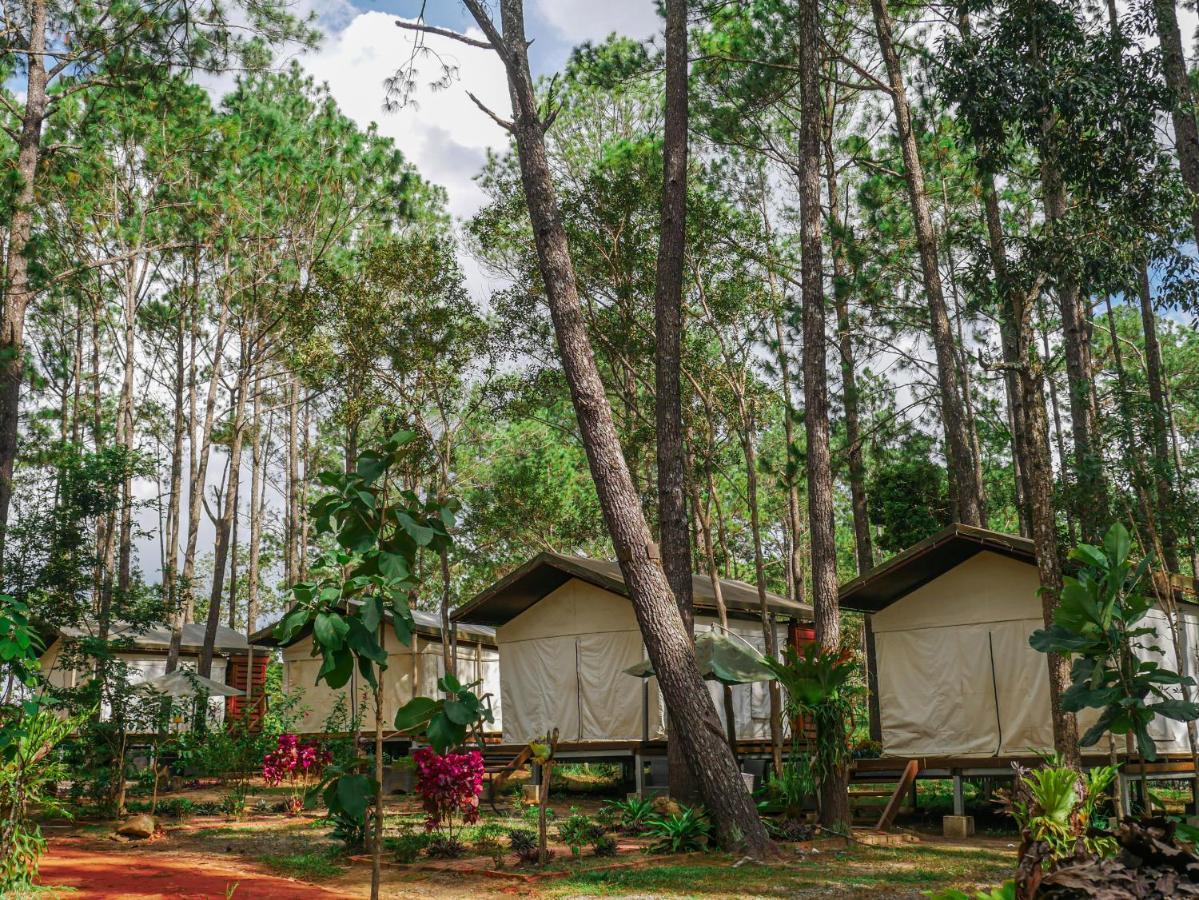 Vkirirom Pine Resort Chambak Dangkom Kültér fotó